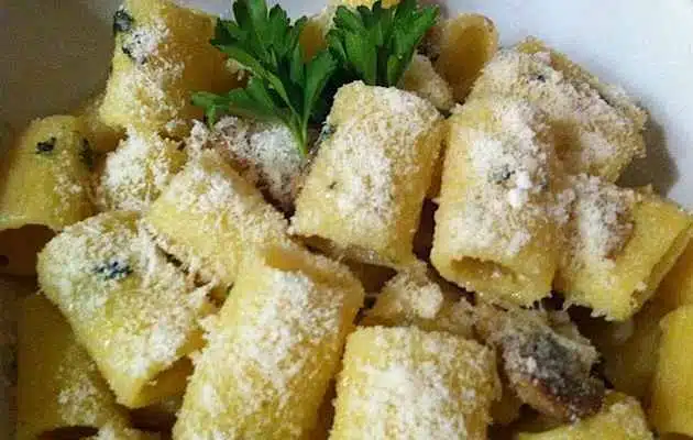 pasta funghi e pecorino