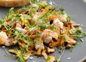 insalata-funghi-finferli-e-gamberoni.