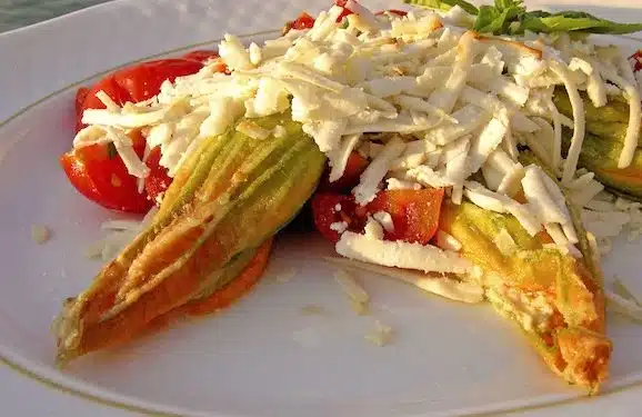fiori di zucca