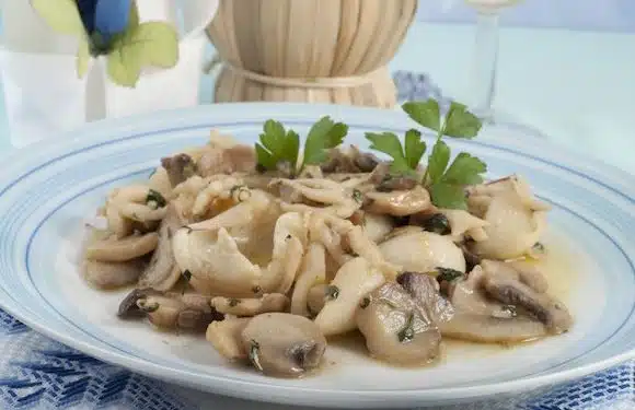 funghi e calamari