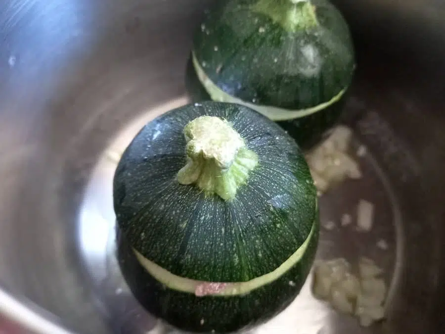 cuocere le zucchine tonde