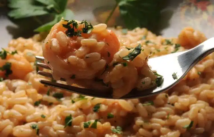 risotto con gamberetti