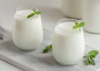 ayran fatto in casa