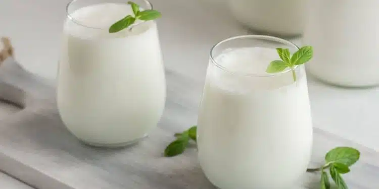 ayran fatto in casa