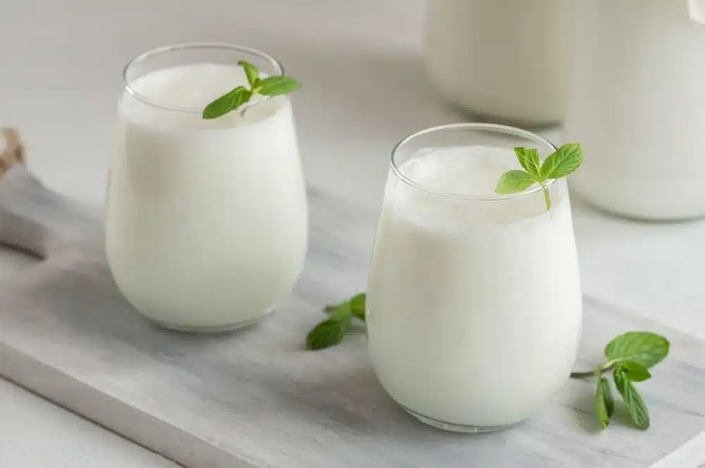 ayran fatto in casa