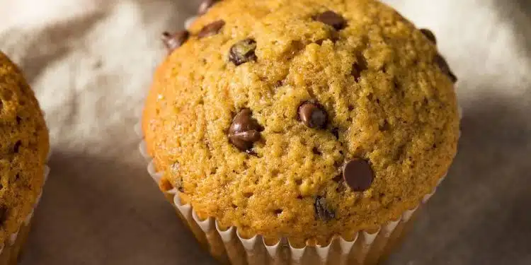 muffin alla zucca con gocce di cioccolato