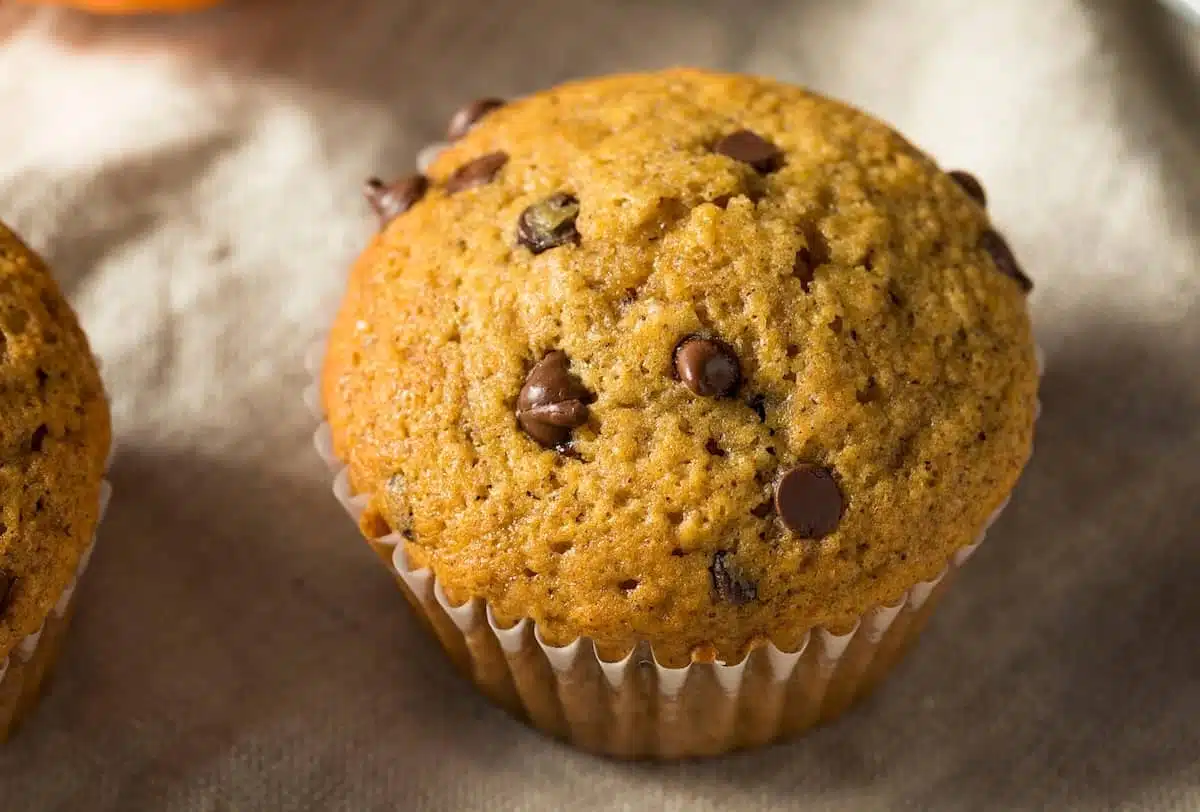 muffin alla zucca con gocce di cioccolato